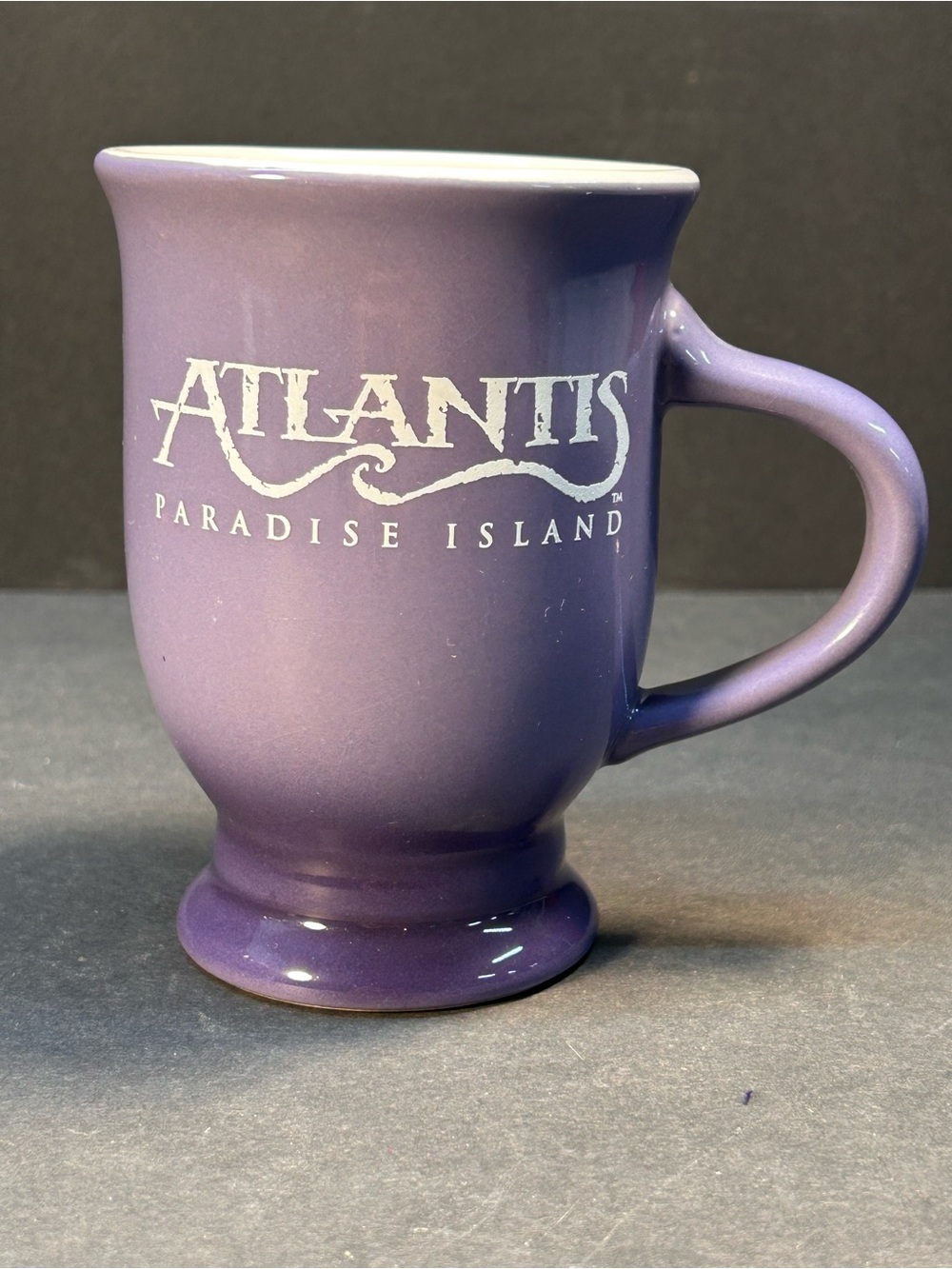 Purple Ceramic Coffee Mug